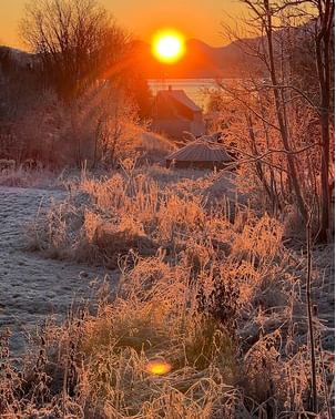 Cold weather, but little snow in the north this early.

1. The last sunshine in Tromsø bathes the landscape in gold. @willcopes93 went for a Sunday walk
2. In the Raftssundet waterway in Vesterålen, the days are frosty and clear @annelisestornes balanced on icy rocks
3. Alta boasts a thin layer of snow, enough to make the @holmenhusky.no dogs happy
4. Bodø's beauty spot Mjelle in low November sunlight @ingrid.moen.boerli dressed warmly for the Sunday walk