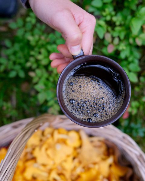 Det är få saker som hålls så hemligt som ett riktigt bra svampställe. Låt oss därför gemensamt lista de bästa tipsen för en lyckad svamputflykt. Vi börjar: riktigt gott kaffe till fikastunden🍄‍🟫