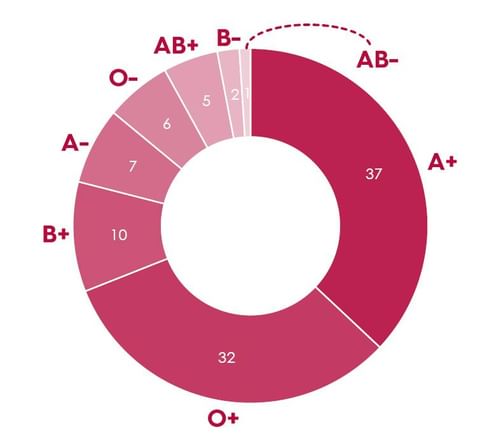 🧬 Vilken blodgrupp du har går i arv, vilket gör att den vanligaste blodgruppen i en befolkning skiljer sig åt världen över. I Sverige är den vanligaste blodgruppen A+, men över världen är blodgruppen O vanligast. På bilden ser du fördelningen av blodgrupperna här i Sverige!

💡 Blod i alla blodgrupper är viktiga och nödvändiga att ha i lager. A och O är det blod som går åt mest. Men i nödsituationer där blodgruppering saknas får patienten alltid först röda blodkroppar från blodgruppen O Rh D negativ, eftersom den passar alla. 

#GeBlod 
#blodgrupper 
#transfusionsmedicin