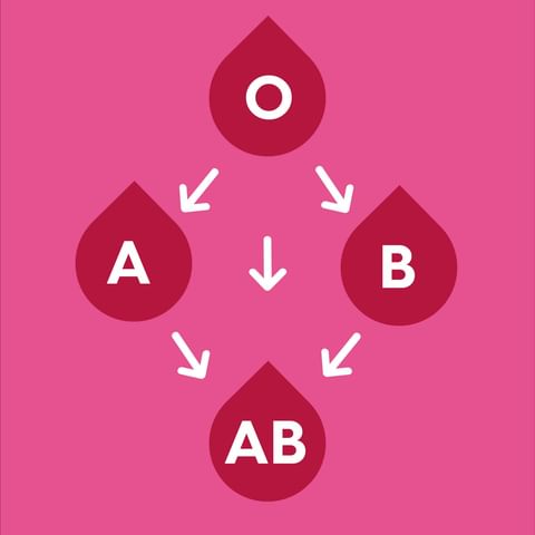 ❗️Matchningen av blodgrupper är väldigt viktigt vid blodtransfusion. I flera fall livsviktig. På bilderna ser du vilka blodgrupper i ABO-systemet som kan ges till varandra, och vilka grupper i Rh-systemet som kan ges till varandra.

❓Med hjälp av informationen på bilderna – kan du gissa vilken blodgrupp som kan ges till alla blodgrupper? Svara i kommentarer 👇

#GeBlod 
#blodgrupper 
#transfusionsmedicin