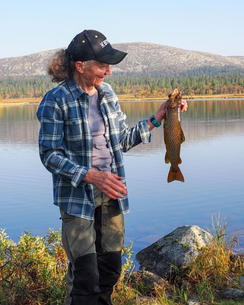 Öringen nappar även under hösten - här en fin morgonfångst i Storhån. 🎣

Under perioden 1 sep - 31 okt leker fisken i bäckar och åar och det är därmed fiskeförbud i allt rinnande vatten, inkl 200m från in- och utlopp i sjöar i Lofsdalens - Glöte fiskevårdsområde. Så välj ditt fiskeställe med omsorg, i Lofssjön finns fina möjligheter till fiske hela hösten både från land och med båt. 🚣🏿‍♂️