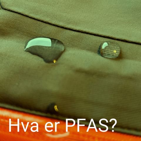 🧪 PFAS. En gruppe fluorstoffer med mange negative effekter: De brytes utrolig sakte ned, og de settes i sammenheng med både svekket immunforsvar, kreft og hormonell ubalanse. Nylig fant forskere ved Universitetet i Bergen, Haukeland universitetssjukehus og Folkehelseinstituttet en tydelig sammenheng mellom høyere PFAS-nivå og senere pubertetsstart hos gutter, kunne Aftenposten melde.

⛔ Norske miljømyndigheter har bidratt til et forslag om europeisk forbud mot alle de 10 000 PFASene som finnes. Forslaget er nå til behandling i EU. Svanemerket stiller mange og strenge krav til kjemikalier. Vi bruker et føre var-prinsipp, det betyr at vi er ekstra strenge for sikkerhets skyld. Derfor har vi forbudt alle PFASer i svanemerkede produkter i 20 år allerede.

‌Tips til hvordan du kan unngå PFAS: i lenke i bio ☝️☝️

#svanemerket #miljø #pfas #kjemikalier

‌