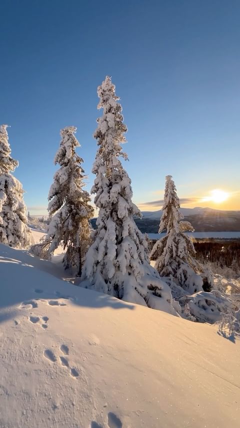 Endast 3 månader kvar till julafton - som vi längtar! 🎄🎁
Fira julen på snö tillsammans med oss i Lofsdalen. 
Vi erbjuder fantastiska julpaket med både härligt julbord och mysigt boende inkluderat. Spana in och boka våra erbjudanden på lofsdalen.com 🎅
