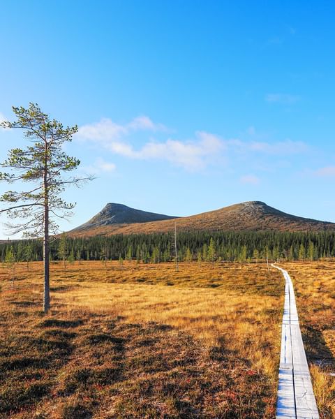 September har bjudit på både sommarvärme, det första snöfallet och magiska solnedgångar. 🍁 Nu välkomnar vi oktober och hoppas på ännu fler minusgrader och sol 🌞