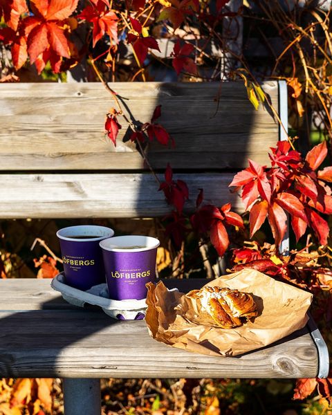 Dags för en lunchkaffe i oktobersolen? Tagga någon du vill ta med ut i höstvädret för en kopp☕️🍁