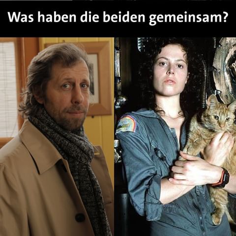 Heute vor 45 Jahren kam „Alien“ in die deutschen Kinos. Wer das erlebt hat, ist im richtigen Alter 👌🏻 für eine Vorsorge-Darmspiegelung! 🤓👍🏻

#alien #ridleyscott #oliverkorittke #darmcheck #darmspiegelung #gesundheit