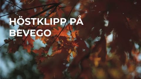Höstklipp på Bevego! 
Kompakt och lätt borrskruvdragare. Levereras med 3 st batteri 5,0 Ah LXT, snabbladdare samt Makpac. 
Passa på från 1 november - 31 december så får du en unik limited edition Makita klocka på köpet (gäller så långt lagret räcker).