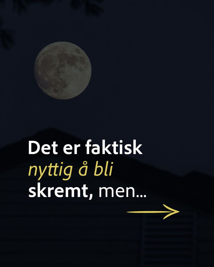 Årets nifseste dag! 👻 Visste du at de som leser skumle bøker faktisk kan bli mindre redde i virkeligheten?
